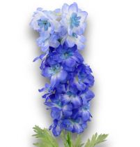 Rittersporn 90cm Blau