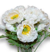 Mohn 30cm Weiß 6St.