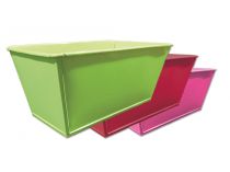 Schale 20x11x8cm 8St. grün/pink/dkl.pink