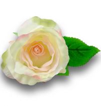 Rose 30cm Pfirsich