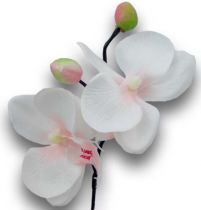 Orchidee mini 25cm Weiß, Pink