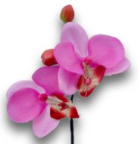 Orchidee mini 25cm Violett