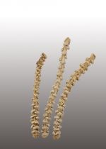 Banana Stem gebleicht 20St.