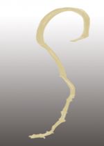 Banana Stick weiss 5St.