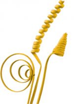 Cane Sortiment mini goldgelb 75St.