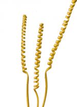 Cane Spring goldgelb 25St.
