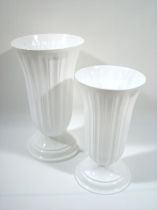 Einstellvase Lilia weiß