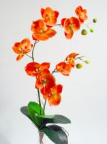 Orchidee x2 60cm lachs
