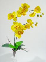 Orchidee x2 60cm gelb