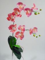 Orchidee x2 60cm rosa