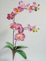 Orchidee x2 60cm flieder