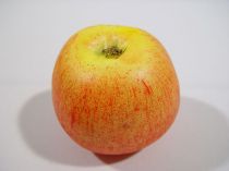 Äpfel 6,5cm Cox (12St.)