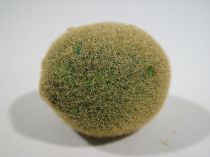 Kiwi 6cm (6St.)