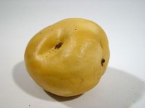 Kartoffeln (6St.)