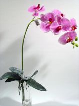 Orchidee lila 82cm mit Blätter und Luftwurzeln