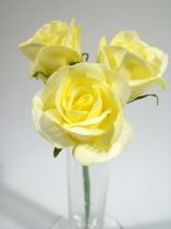 Rose Gracia gelb 5cm (27St.)
