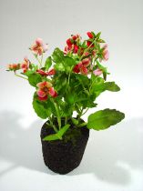 Stiefmütterchen rot mit Erdballen 19cm