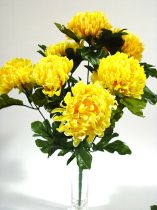 Chrysantheme orange mit 7 Blüten