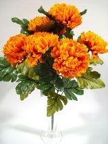 Chrysantheme gelb mit 7 Blüten