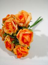 Rosen 25cm apricot (28St.)