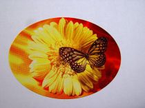 Etiketten Schmetterling 250St