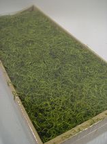 Dschungelmoos frühlingsgrün 500g