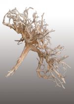 Dry Tree 500g gebleicht