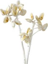 Hakea mittel 5-9 gebleicht (161) 25St.