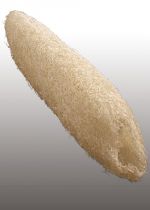 Luffa groß gebleicht 20St.