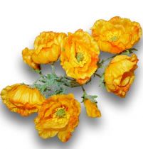 Mohn 30cm Orange 6St.