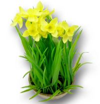 Osterglocken mit Gras und Schale 18cm