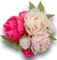 Pfingstrosenstrauß 32cm Rosa, Weiß 11St.