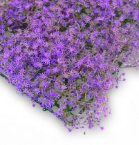 Sternblütenmatte 25x25cm Purple