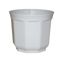 Übertopf Tino 7cm weiß (20St.)