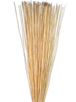 Vlei Reed 400g gebleicht