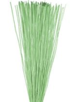 Vlei Reed 400g hellgrün