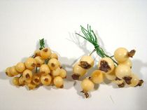 Beerenbund 8/14mm creme 21 Bündel