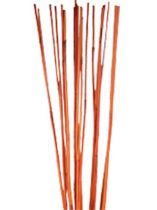 Elephanten Reed orange 20St.