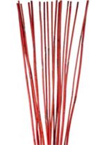 Elephanten Reed rot 20St.