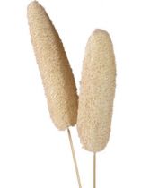 Luffa groß am Stiel gebleicht 25St.