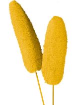 Luffa groß am Stiel goldgelb 25St.