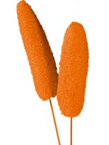 Luffa groß am Stiel orange 25St.