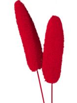 Luffa groß am Stiel rot 25St.