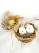 Vogelnest m. Eiern a. Pick 6cm 12St