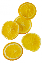 Orangenscheiben 500g natur