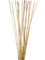 Rattan Stiele 100cm gebleicht 20St.