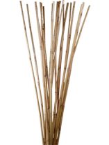 Rattan Stiele 100cm natur 20St.