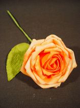 Foam Rose Ø 7cm apricot 18St
