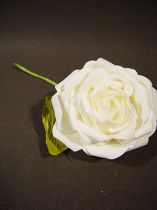 Foam Rose Ø 10cm creme 8St