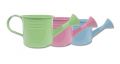 Gießkanne Ø5,5cm H5,5cm 12St. pink/grün/pastell